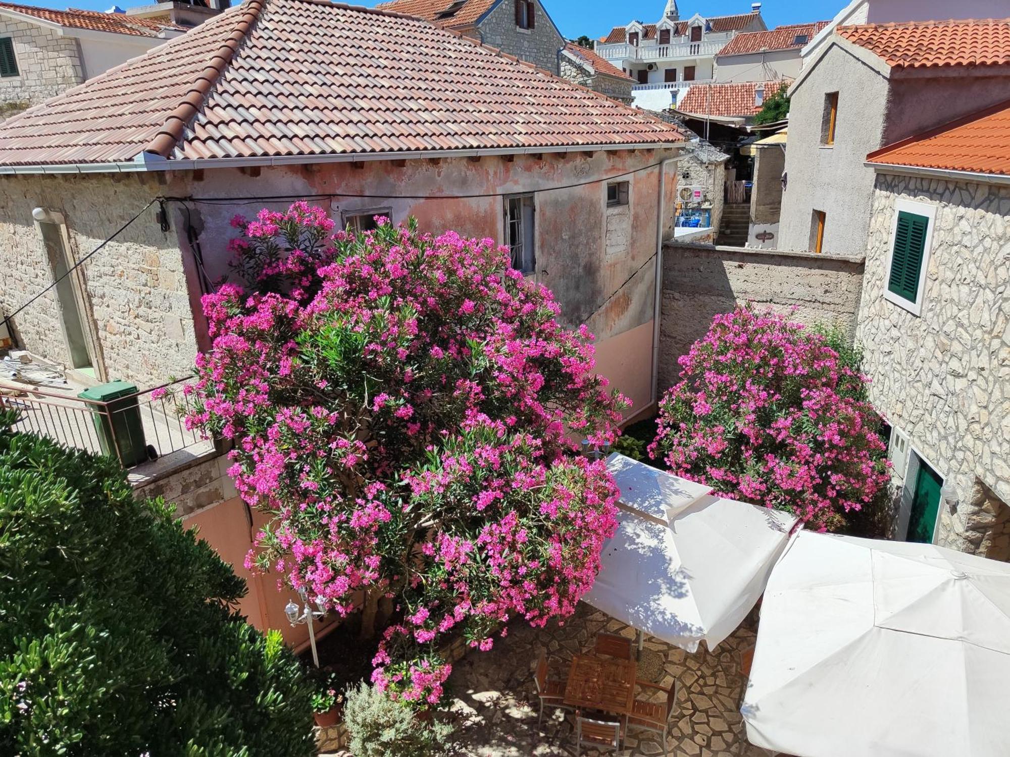 Guest House Adria Primošten Екстериор снимка